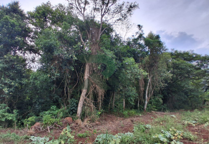 Chácara 4322 m2