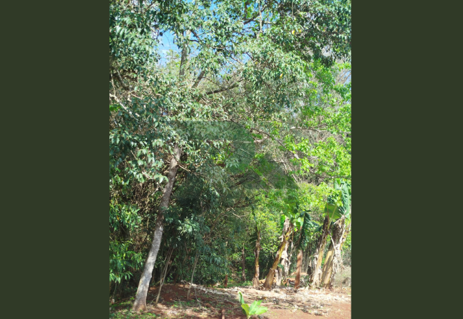 Lote com edificação 2400 m2