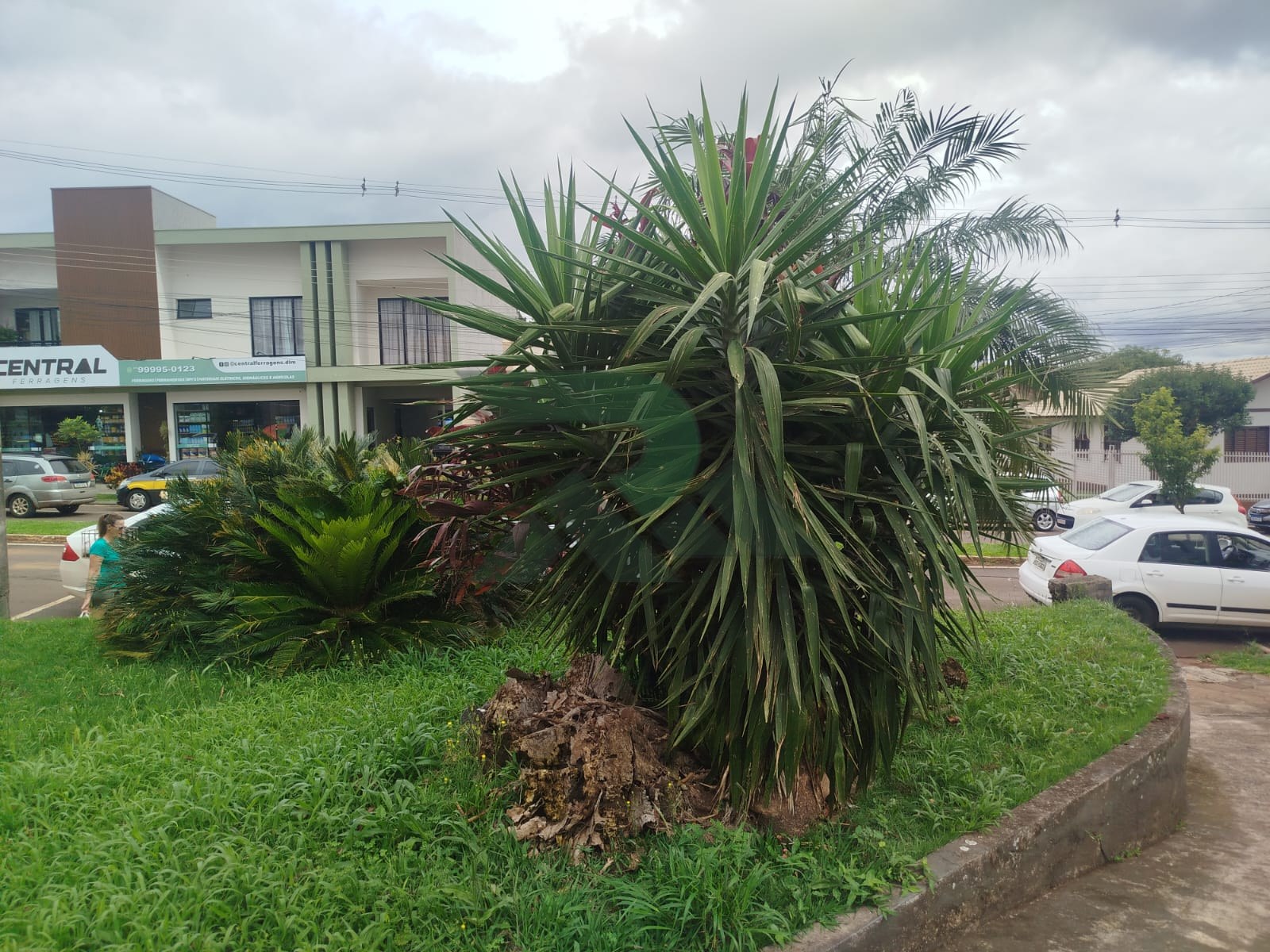 Lote urbano 617 m2